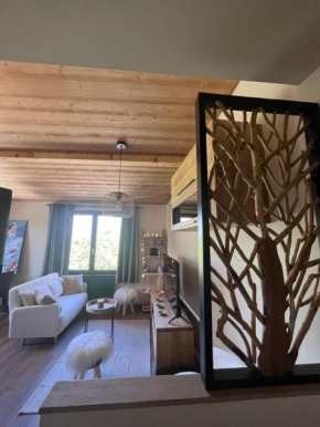Appartement cosy pieds des pistes